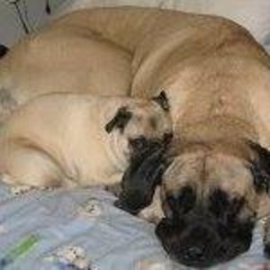 Meet your Posher, Paula